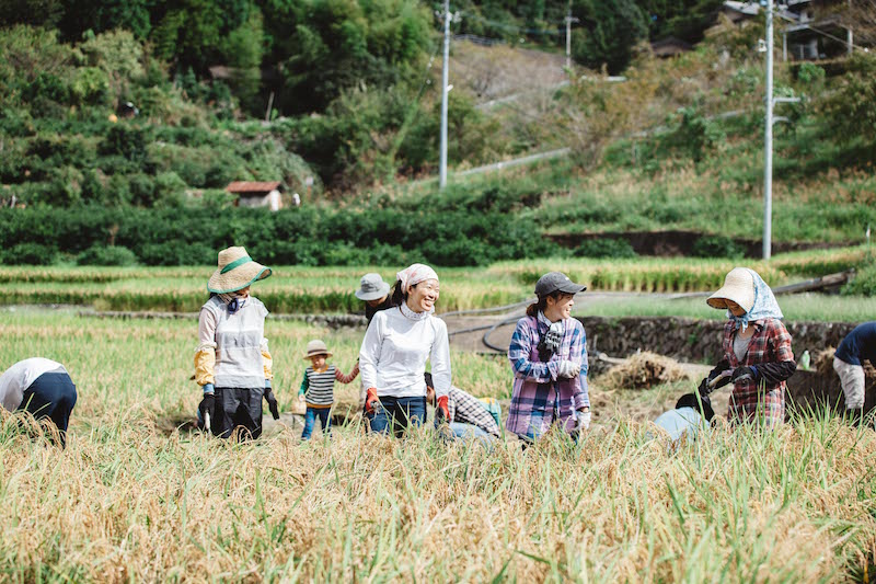 Kamiya's Food Hub project, 2016