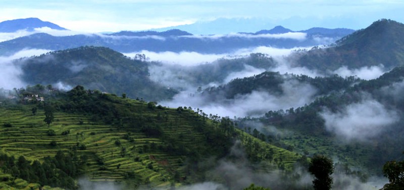 Himalayan-resort-terraced-fields