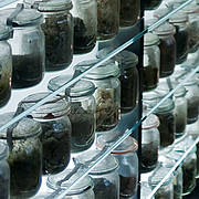 Museum Pedagogic Strategies for Change