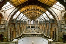 Natural History Museum UK 1